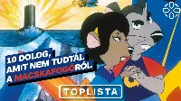"Jöjjön közelebb, Safranek" - 35 éves a Macskafogó