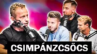 Schobert Norbert: Iszonyú támadásnak vagyok kitéve! 