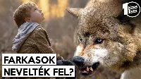 Gyermekek, akiket állatok neveltek fel - szívszorító videó