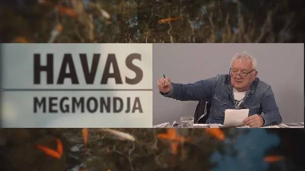 Havas Henrik Kálomistának is beszól? Nézd meg a legújabb részét a Havas megmondja műsornak!