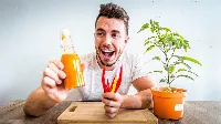 A világ legerősebb chili paprikáját nevelte fel Barni - a 6 hónap alatt készült videó