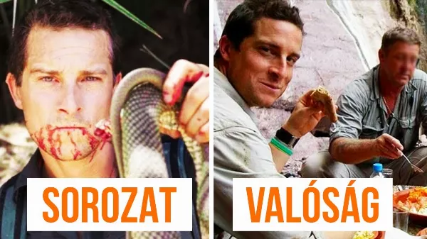 Csalással vagy a zsenialitással lett Bear Grylls a világ legismertebb túlélési szakértője?