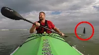 Félelmetes cápatámadások amatőr filmeken