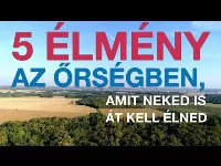 Ha ősz, akkor irány az Őrség! 5 tipp, hogy élményekkel gazdagodj!