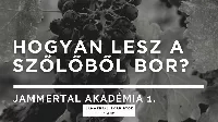 A világ első számú vörösbora magyar - mutatjuk melyik! Noná, hogy Villány...