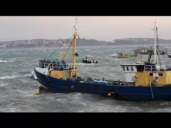 Halottak - Videón a halálos vihar és hóesés ami lecsapott Nagy-Britanniára