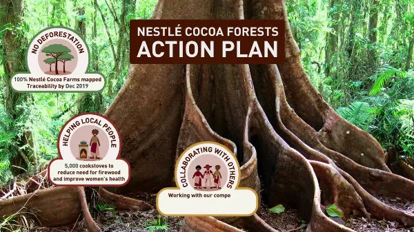 A Nestlé új, innovatív tervet jelentett be a gyerekmunka felszámolására, a kakaótermesztő farmerek bevételének növelésére és a kakaó teljes nyomon követésére