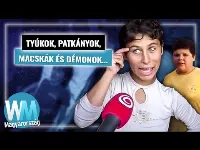 Szállóigévé vált mondatok a magyar internetről! TOP 10 újabb ikonikus videó!