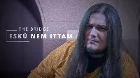 Radics Peti lebukott az asszony előtt, de hogy történhetett ez?