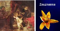 Zsuzsanna névnap, február 19! Tudtad, hogy Zsuzsanna a hűség jelképe?