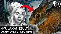 Tényleg nyulakat szült egy nő?