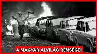 Hihetetlen magyar bűnügyi sztorik a magyar maffia és más magyar bűnözők jóvoltából