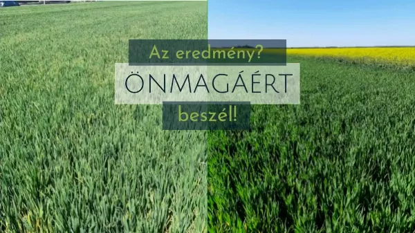 Levéltrágya és növénykondicionáló kezelés előtt és után: látványos különbség már 5 nap után!