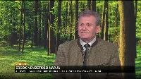 Március 21 - az Erdők nemzetközi napja