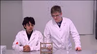 Mik azok a szulfátok, amik megtalálhatók a tisztítószerekben?