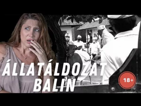 Horváth Éva és a bali állatáldozat
