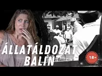 Horváth Éva és a bali állatáldozat