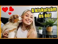 Polla és a kiskutya története: gyógyszer a lelki problémákra?