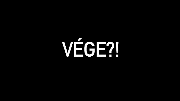 ENNYI VOLT! Megsemmisültem!