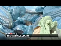 Halpusztulás a fővárosi Városligeti-tóban