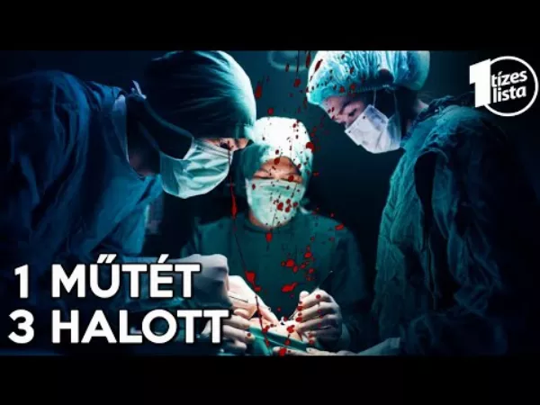 Hihetetlen igaz történetek