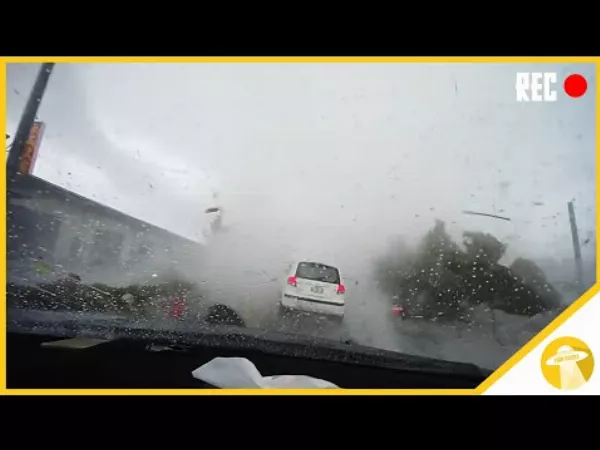 Hátborzongató autós videók
