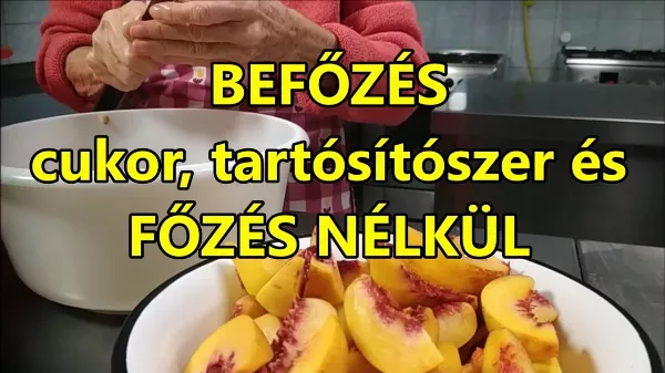 Befőzés cukor, tartósítószer és főzés nélkül