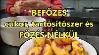 Befőzés cukor, tartósítószer és főzés nélkül