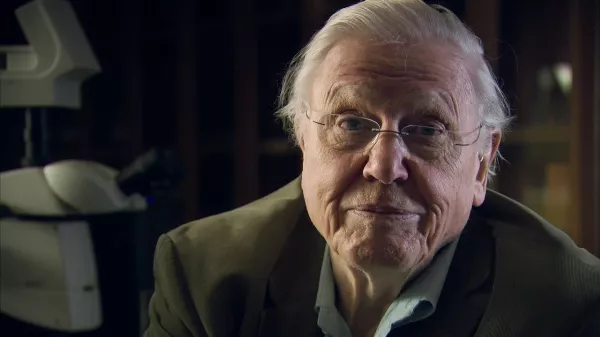 5+1 lenyűgöző állat és túlélési technikája a fagyott világból - Az állatvilág története David Attenborough val 