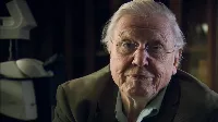 5+1 lenyűgöző állat és túlélési technikája a fagyott világból - Az állatvilág története David Attenborough val 