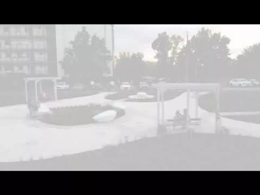 Különleges karácsonyi ajándék Budapest első Levendulaparkjából