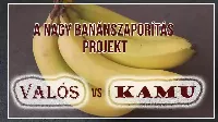 A nagy banánszaporítási project! Valós vagy kamu?