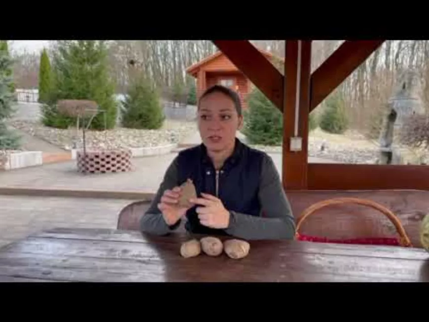 Mi mérgez a burgonyában? Mikor mérgez a burgonya? Hogy előzzük meg a mérgezést?