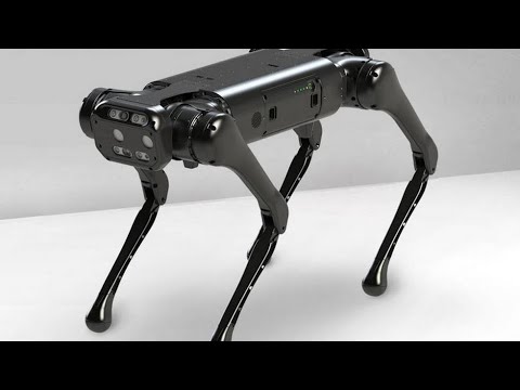  Magyarországon is kapható a világ első nyilvánosan értékesített professzionális robotkutyája