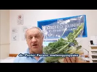 Ilyen egyszerűen elkerülheti a tavaszi fáradtságot!