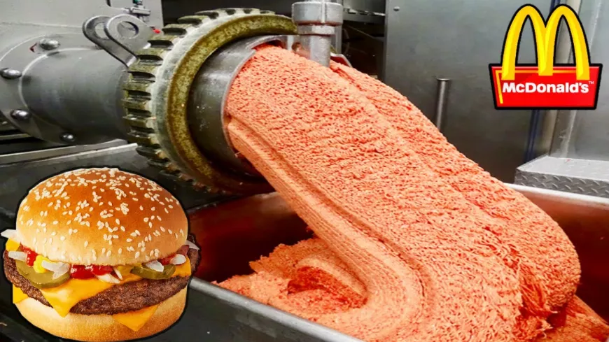  🍔Hogyan készül a McDonald&#39;s hamburgerhús 🍔 Hol készíti a McDonald&#39;s a hamburgereit?
