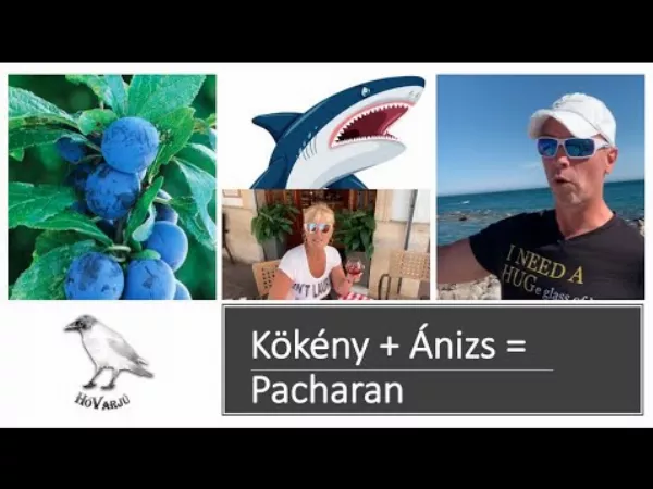 Kökény + Ánizs + Napfény + Spanyolország = Pacharan - Skandináv kocsma: spanyol likőr 🍸🍹