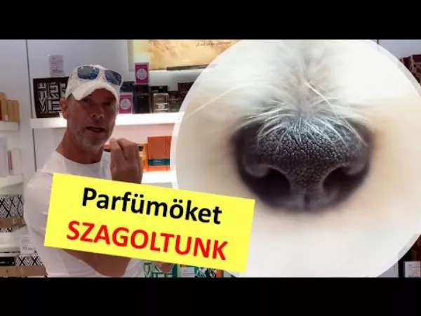 Parfüm eladó! - márkás parfümöket teszteltünk, mutatjuk az árát is