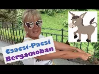 Bergamo és a csacsik - szamár tartása Olaszországban