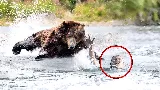 Az életéért küzd egy nő a folyóban, amikor megjelent ez a medve és váratlanul olyan történt, amire senki nem számított