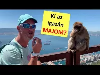 Gibraltár - majomharapás szőrivel