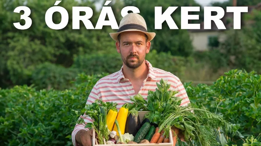 A 3 ÓRÁS KERT! - friss zöldség az asztalodra heti 3 óra munkával 🌶🥕🧄🍆🍓