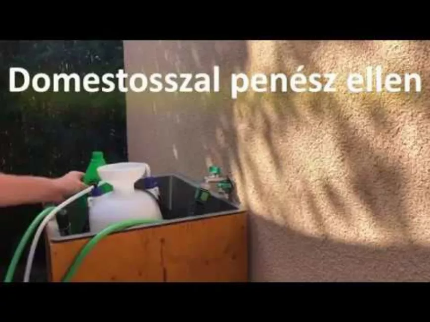 Domestosszal penész 🦠 ellen ilyen egyszerűen és hatékonyan 