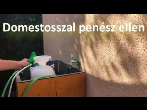 Domestosszal penész 🦠 ellen ilyen egyszerűen és hatékonyan 