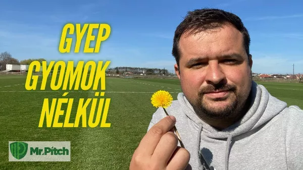 A gyommentes gyönyörű gyep Titka! "Az a szép zöld gyep!"