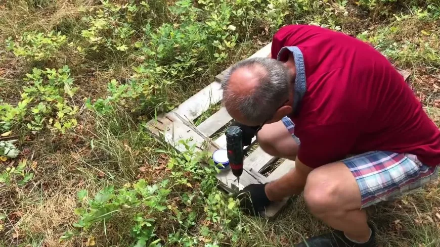Komposztáló készítése egyszerűen és gyorsan raklapokból