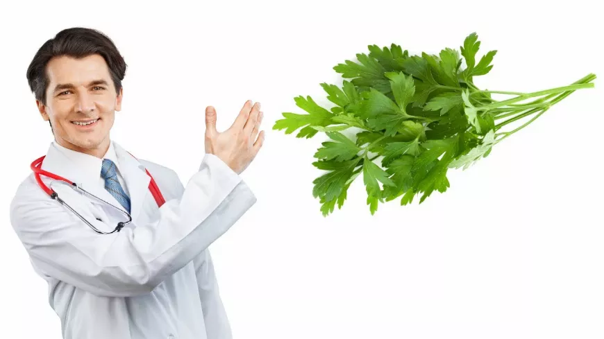 A Petrezselyem ? - egészség, íz és szépség egy növényben 6 elképesztő hatása (ezeket biztosan nem tudtad róla...