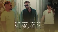 Senorita