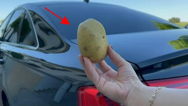  Csak 1 krumpli az autódban🥔🚗❗️ Mentheti meg az életed❗️ Erről mindenki hallgat❗️