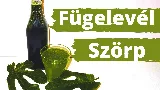 Szörp készítése a fügefa leveléből. Különleges ízű frissítő gyógynövény szörp recept természetes összetevőkből